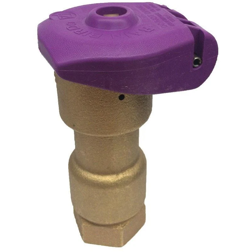 Rain Bird - 5NP - Non-Potable Quick Coupling 1" Valve, 1-Piece Body, Viola notte Locking Rubber Cover