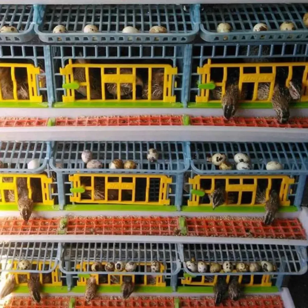 Modulo di espansione piani per scatola quaglie - BYK-03-TA