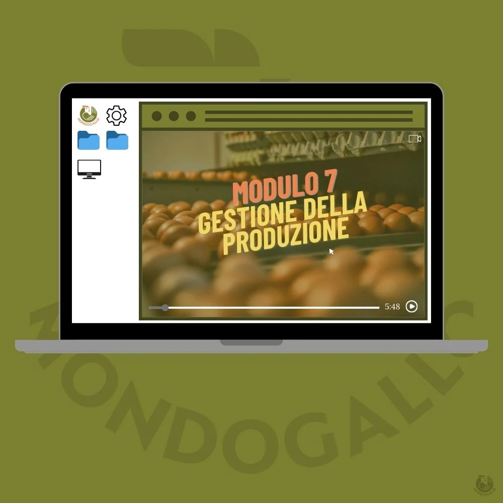 Video Corso Modulo 7: La Gestione della Produzione