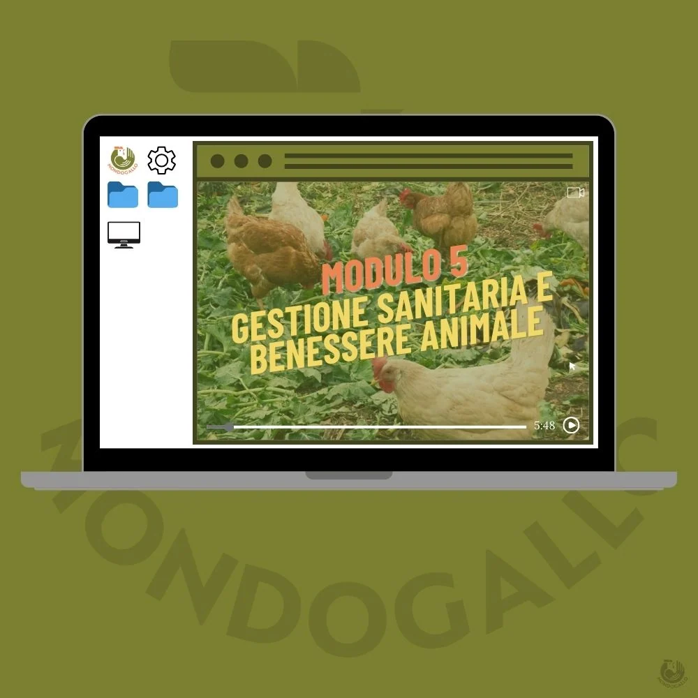 Video Corso Modulo 5: Gestione Sanitaria e Benessere Animale