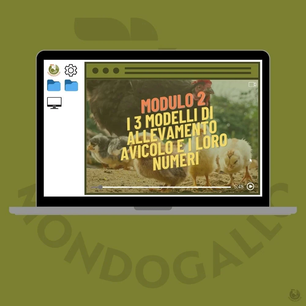 Video Corso Modulo 2: I 3 Modelli di Allevamento e i Loro Numeri