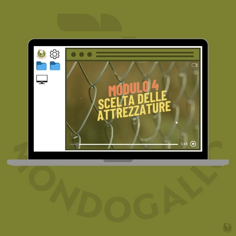 Video Corso Modulo 4: Scelta delle Strutture