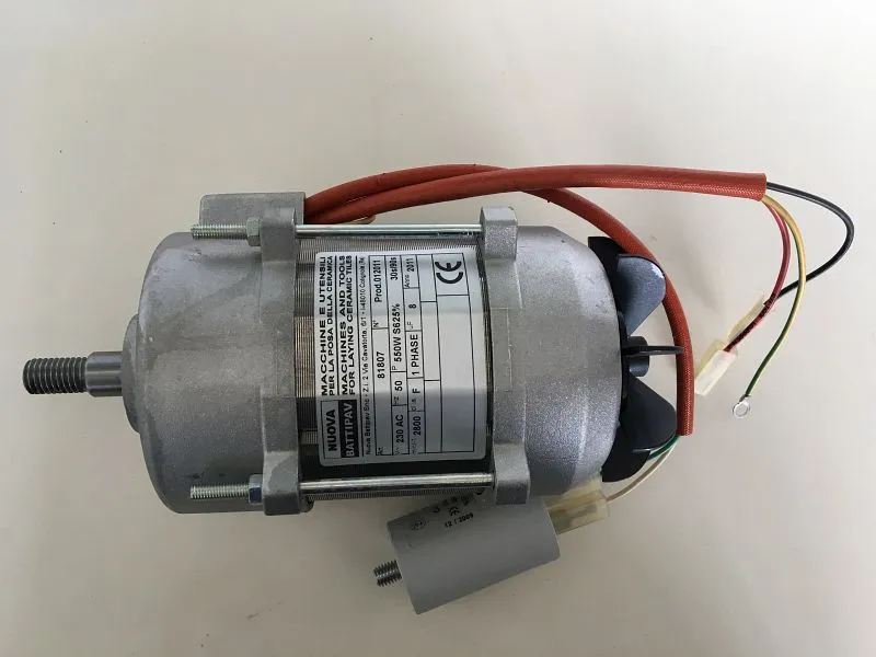 Motore ELMAG 230 volt 550 watt per QUEEN 180 9601231