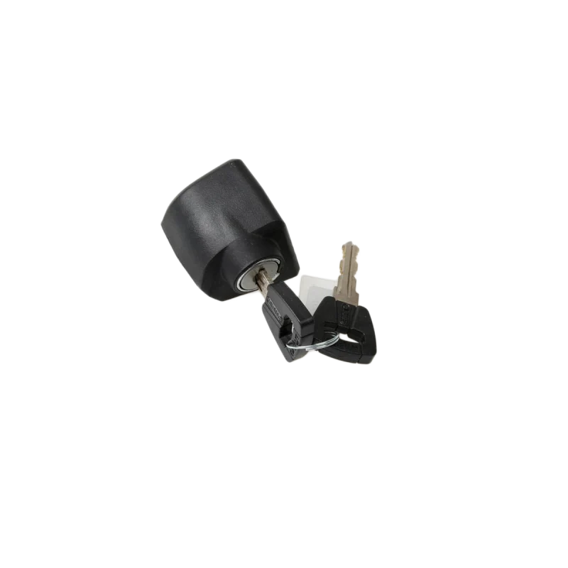ABUS Bosch Cilindro Tradizionale per Batteria Telaio Classic+