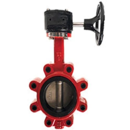 3" Nominal DI BFV Lug/Gear SS Disc/EPDM 9660G3SE