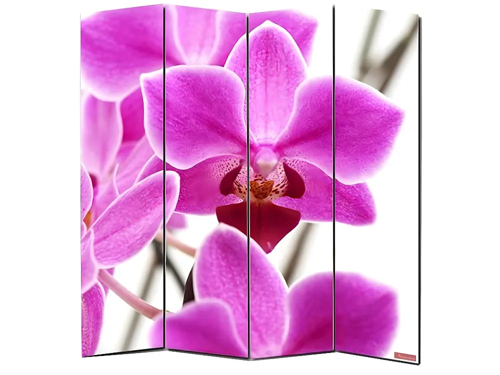 Paravento divisore doppia immagine separè decorativo 4 pannelli M68 180x160cm orchidee