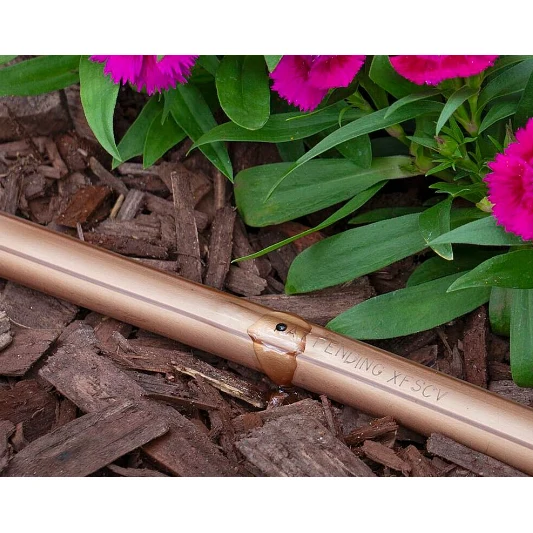 Rain Bird - XFSCVPS612500 - Sub-Surface Dripline Check Valves, 0.6 GPH 12” Spacing, 500 FT Coil, Viola notte Stripe Tubing