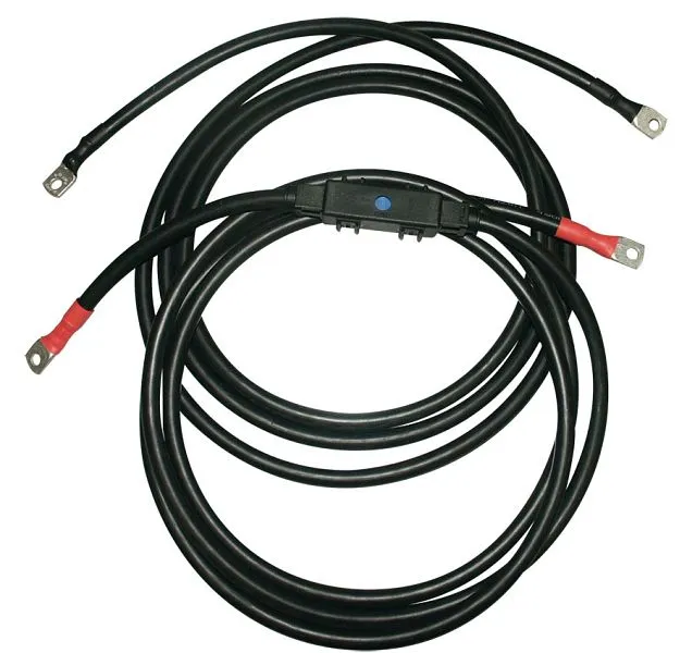 Set di cavi di collegamento IVT per inverter SW 1 m 25 mm² 421002
