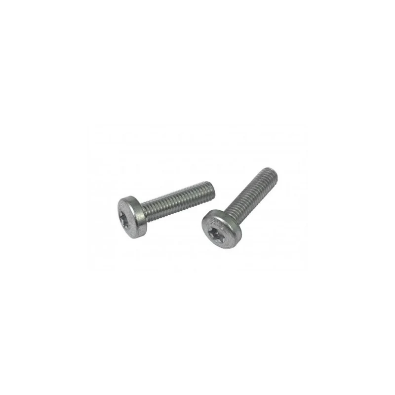 Bosch Set di Viti Adattatore Supporto Batteria per Telaio Classic+