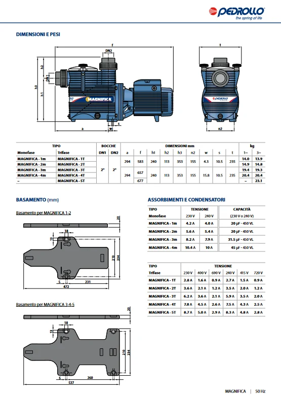Elettropompa per piscine MAGNIFICA 1m Pedrollo Supply