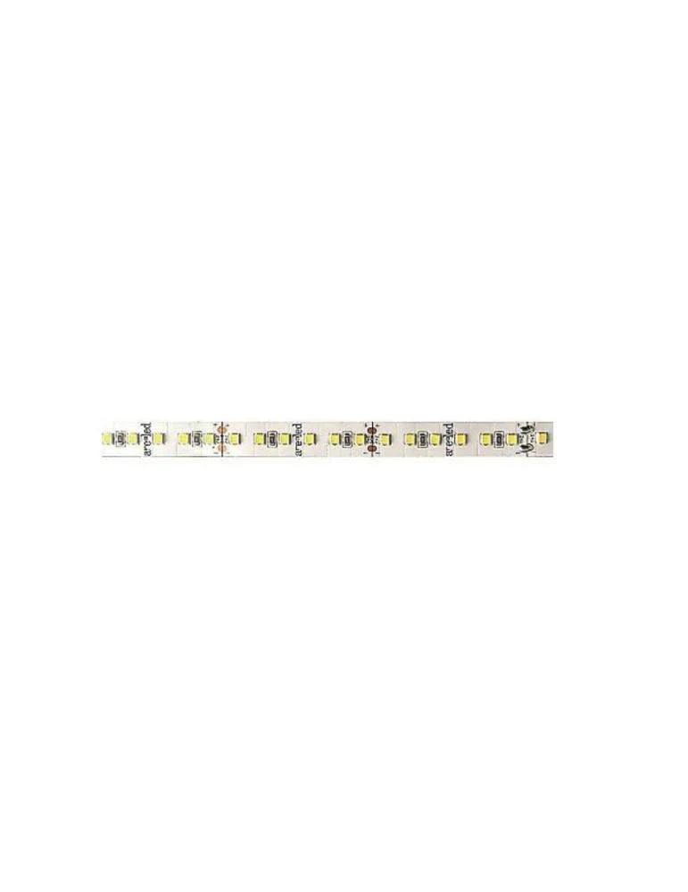 Strip LED 2835 SAM Esclusivo Lite FN105BG – 24V, 30W/m, 5m IP20, 2700K (Luce Calda)