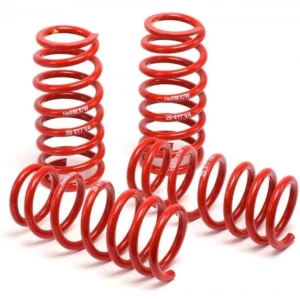 H&R 99-04 Ford Mustang Cobra V8 Race Spring