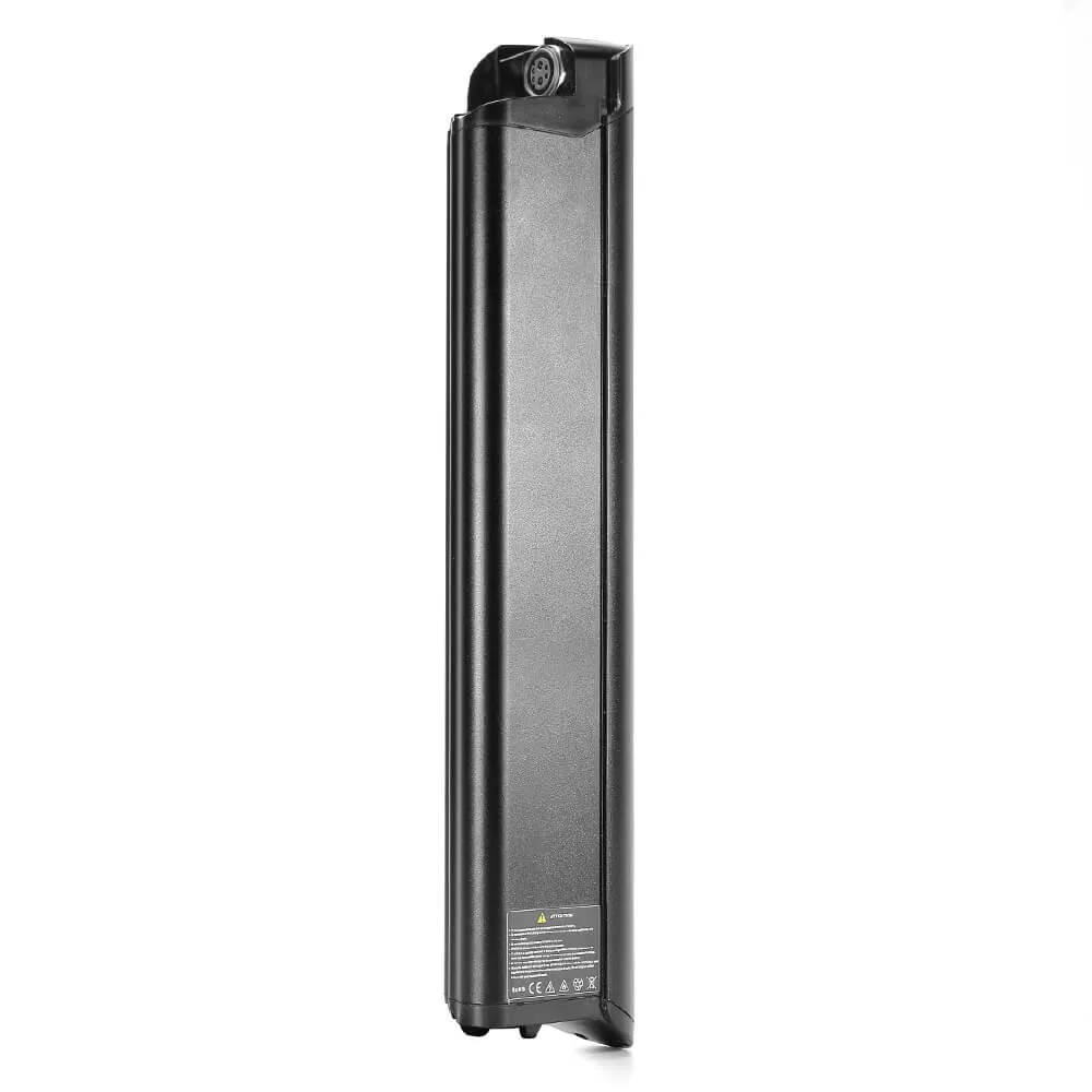 Batteria da 36 V 13 Ah per T1, T1 ST