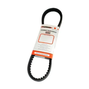 CGN490551 Cinghia Trasmissione Bando 818x19,5x28 € Sym Fiddle 2 125cc dopo 2010