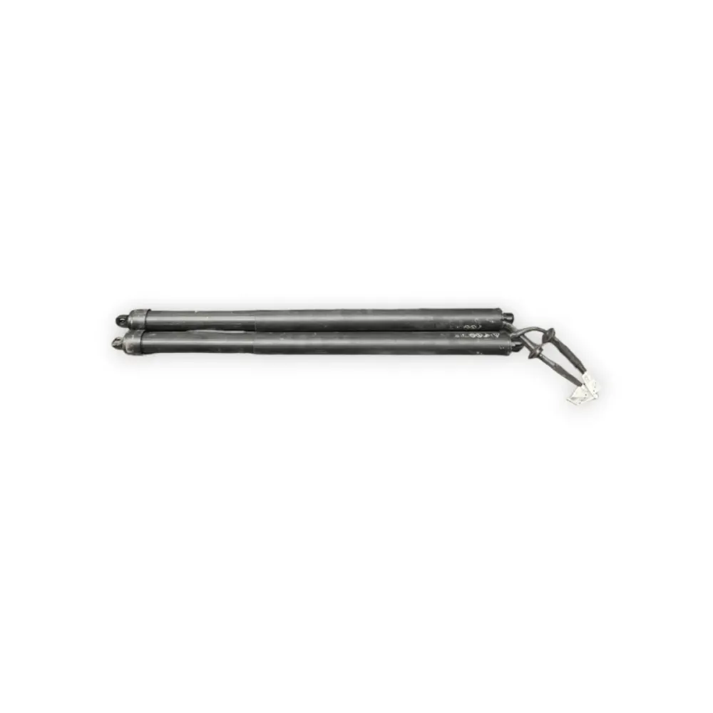 Coppia Pistoncini Elettrici portellone posteriore Range Rover Vogue L460 (2022 -) cod: M8E2-70354-BF