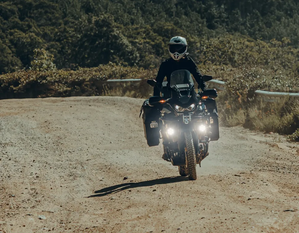 Controller CANsmart™ GEN II - Honda Africa Twin 1100 (CRF1100L e NT1100 2025+) DENALI Electronics
