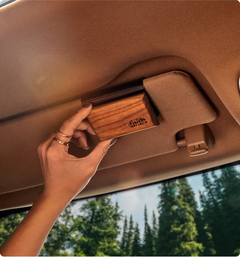 Deodorante Auto Legno Grove