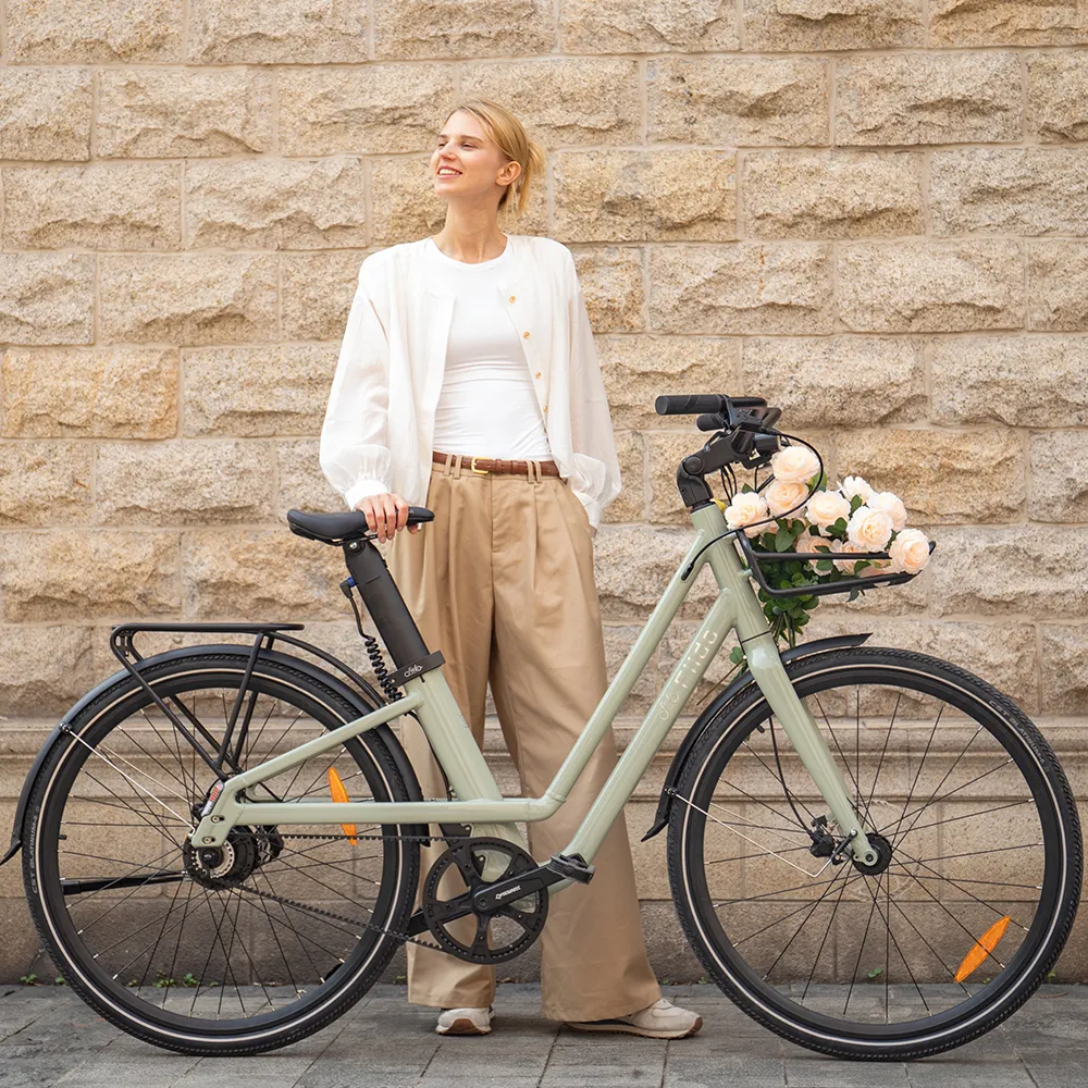 Fiido C700 E-Bike da Città FIIDO ITALIA