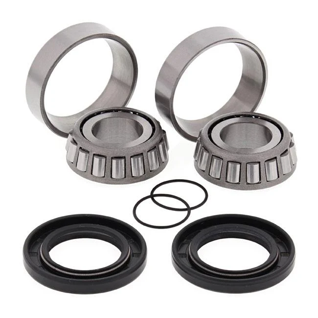 Kit cuscinetti braccio oscillante All Balls 579825
