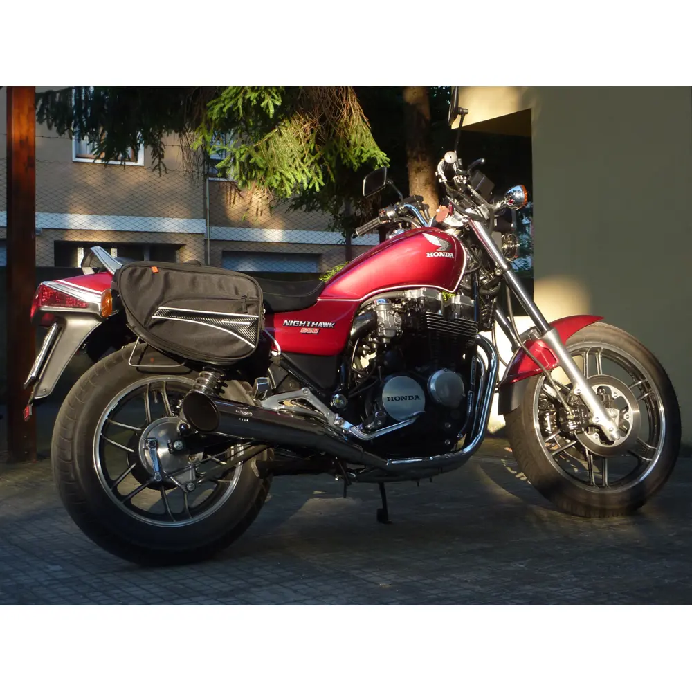 Nelson Rigg Mini Commuter - Borse laterali universali espandibili per moto
