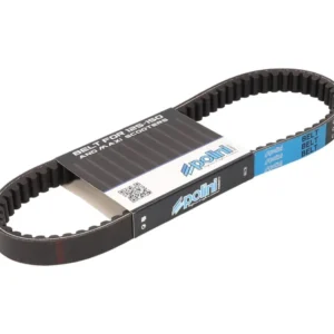 P248.118 Cinghia Polini Maxi Original Yamaha Cygnus / MBK Flame 125