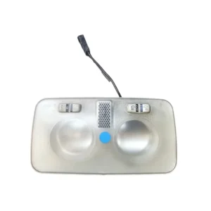 Plafoniera / Luce Interna Fiat Punto EVO Cod:735533394 (2009-2012)