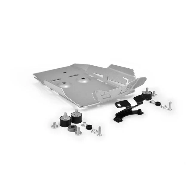 Protezione motore Zieger Argento BMW 15-20 R 1200 R LC