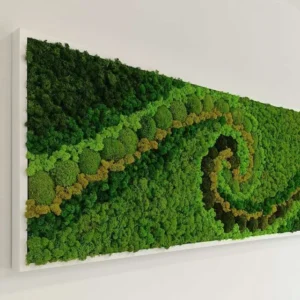 Quadro extra size licheni stabilizzati & moss