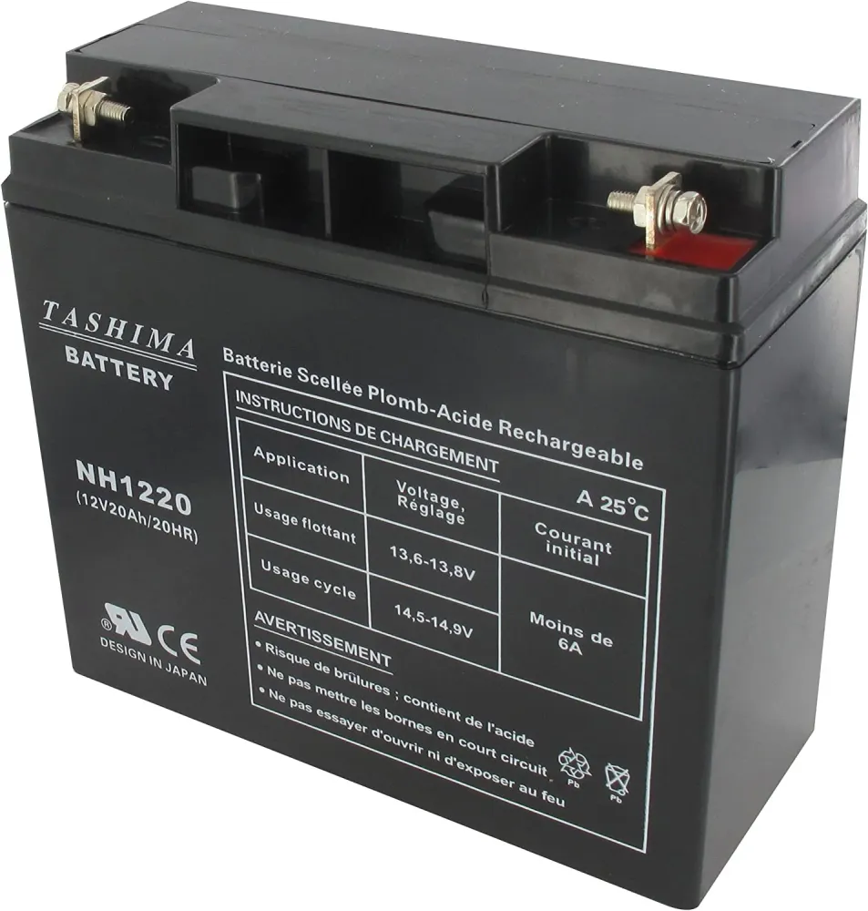 Tashima – Batteria per motocicletta NH1220/NH1218, 12 V, 20 Ah