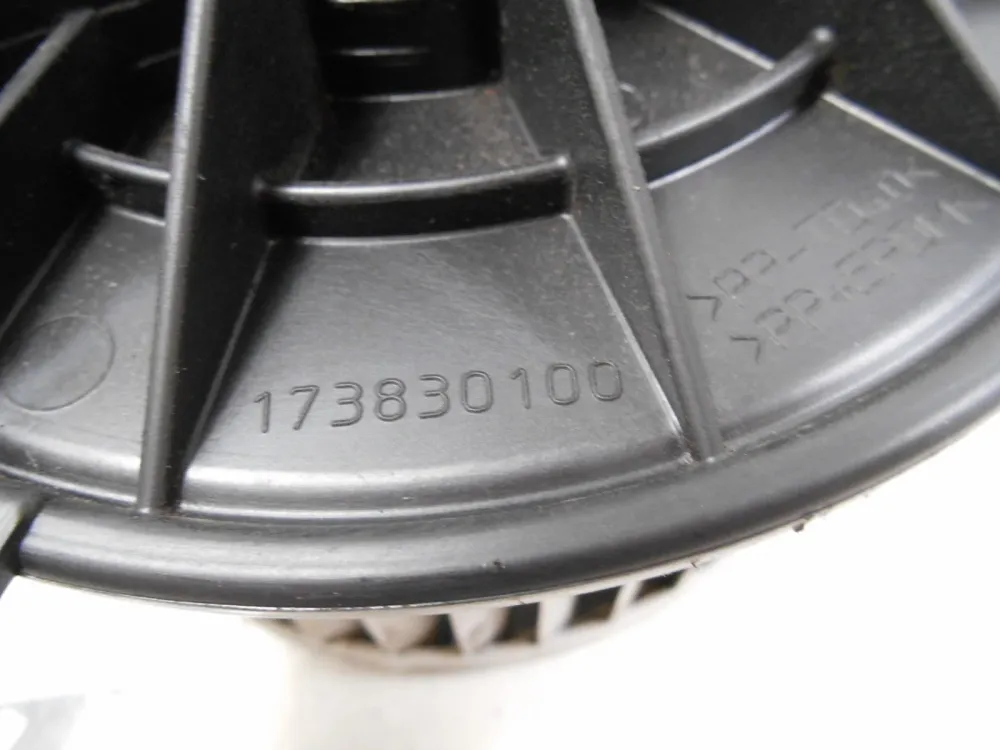 Ventola + Resistenza Abitacolo Renault Kangoo II 2014 173830100