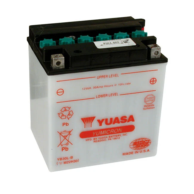 Yuasa Yumicron 12V batteria al piombo acido 30Ah 300CCA