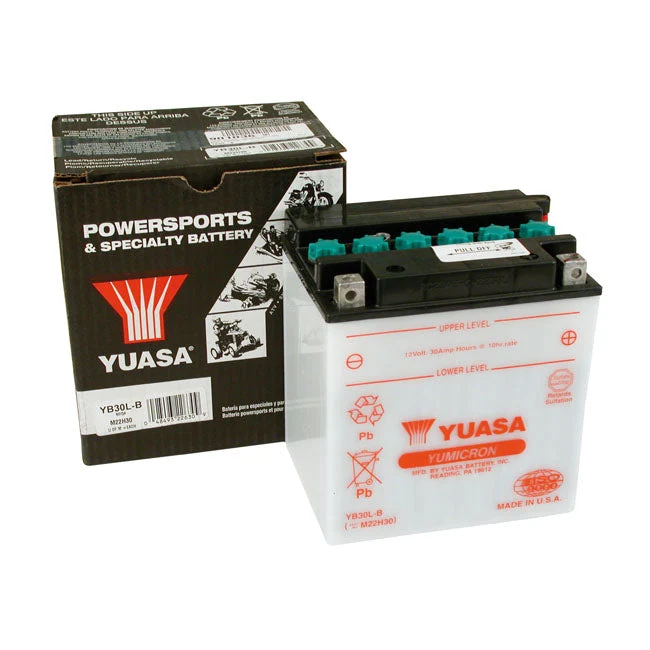 Yuasa Yumicron 12V batteria al piombo acido 30Ah 300CCA