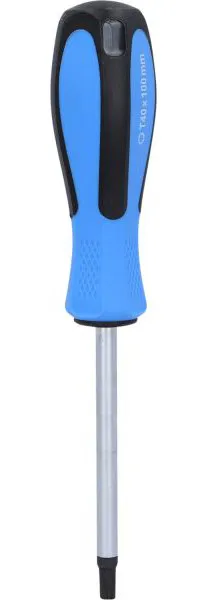 Cacciavite Brilliant Tools TORX T40 x 100 mm BT031042