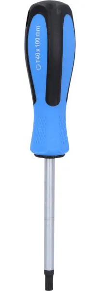 Cacciavite Brilliant Tools TORX T40 x 100 mm BT031042