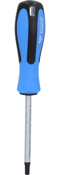 Cacciavite Brilliant Tools TORX T40 x 100 mm BT031042