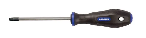 Cacciavite Projahn TX con foro T8 4150-08